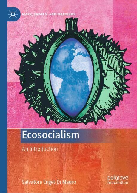 Ecosocialism main product photo