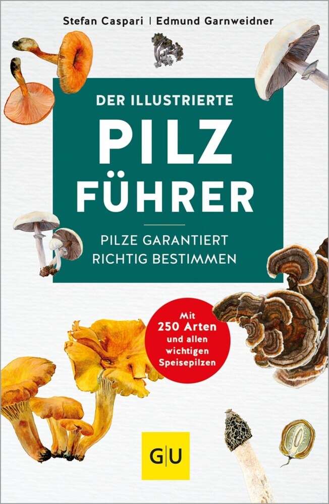 Der illustrierte Pilzführer main product photo