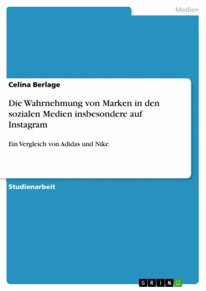 Die Wahrnehmung von Marken in den sozialen Medien insbesondere auf Instagram