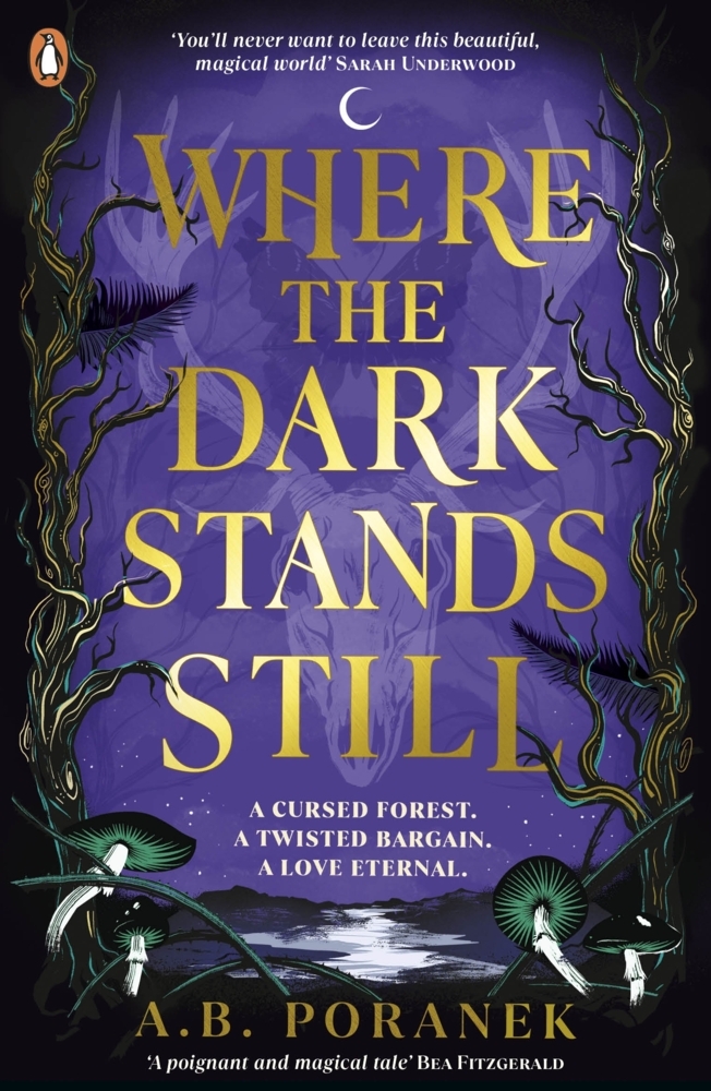 Where the Dark Stands Still main product photo