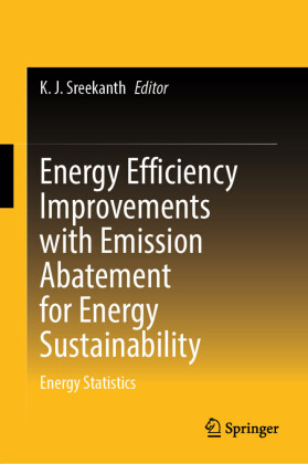 Energy Efficiency Improvements with Emission Abatement for Energy Sustainability