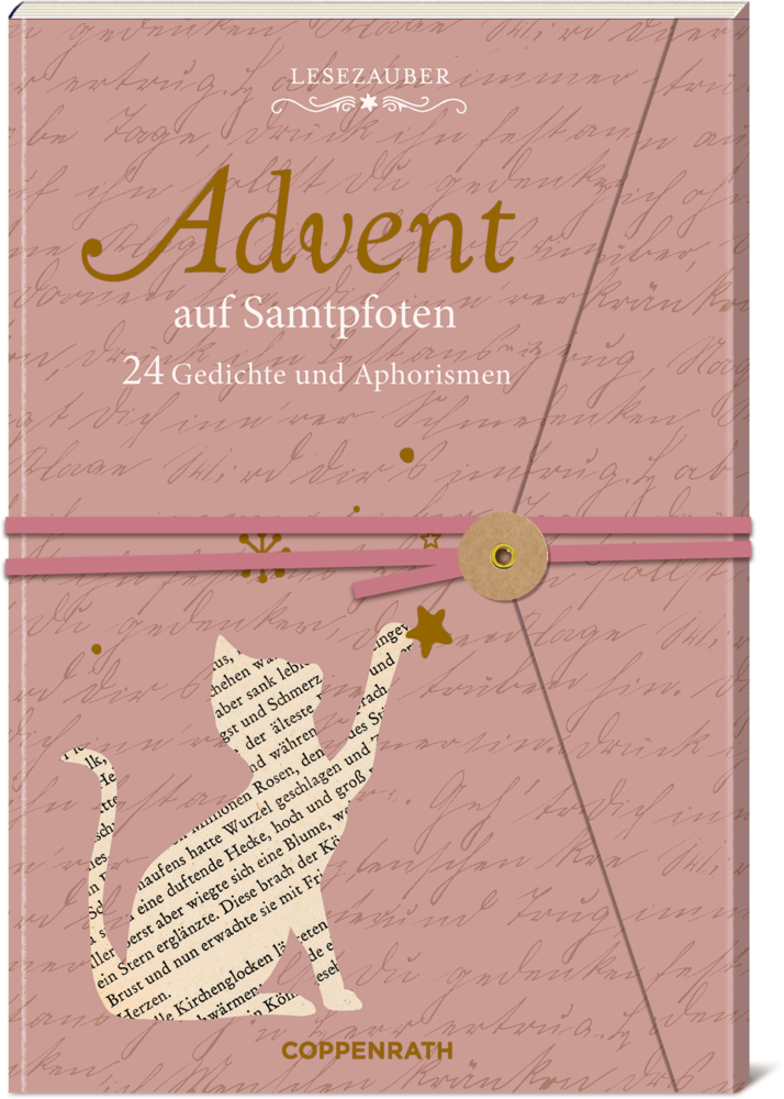 Brief-Adventskalenderbuch - Advent auf Samtpfoten main product photo