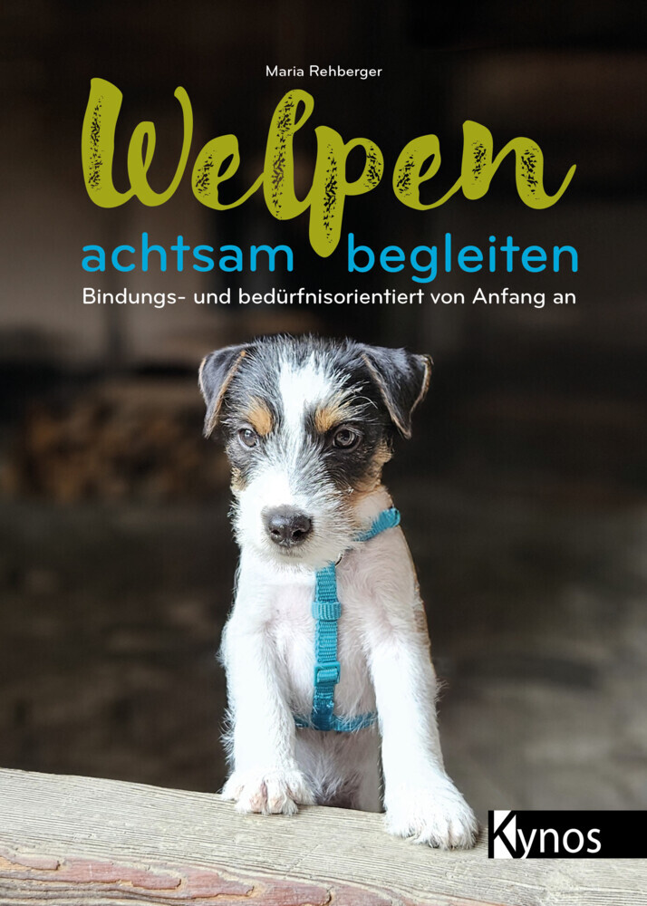Welpen achtsam begleiten main product photo