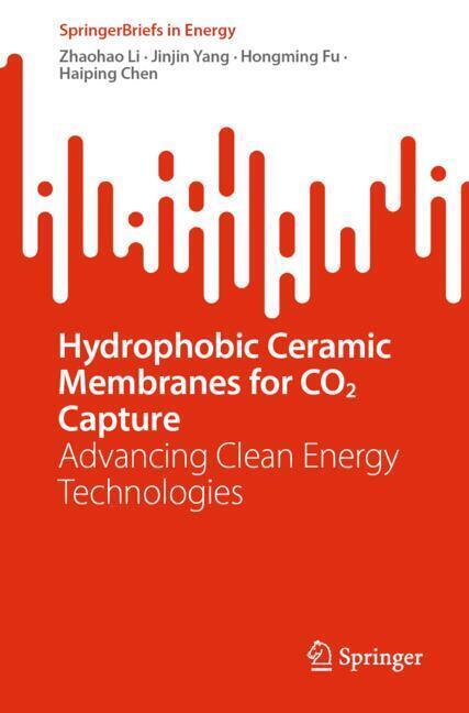 Hydrophobic Ceramic Membranes for CO2 Capture main product photo