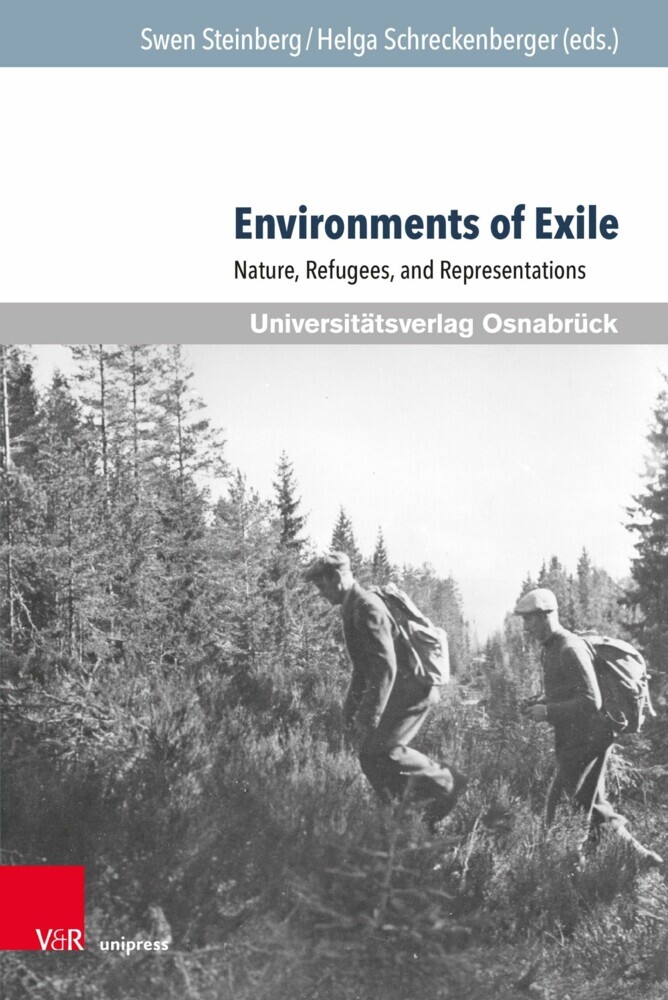 Environments of Exile main product photo