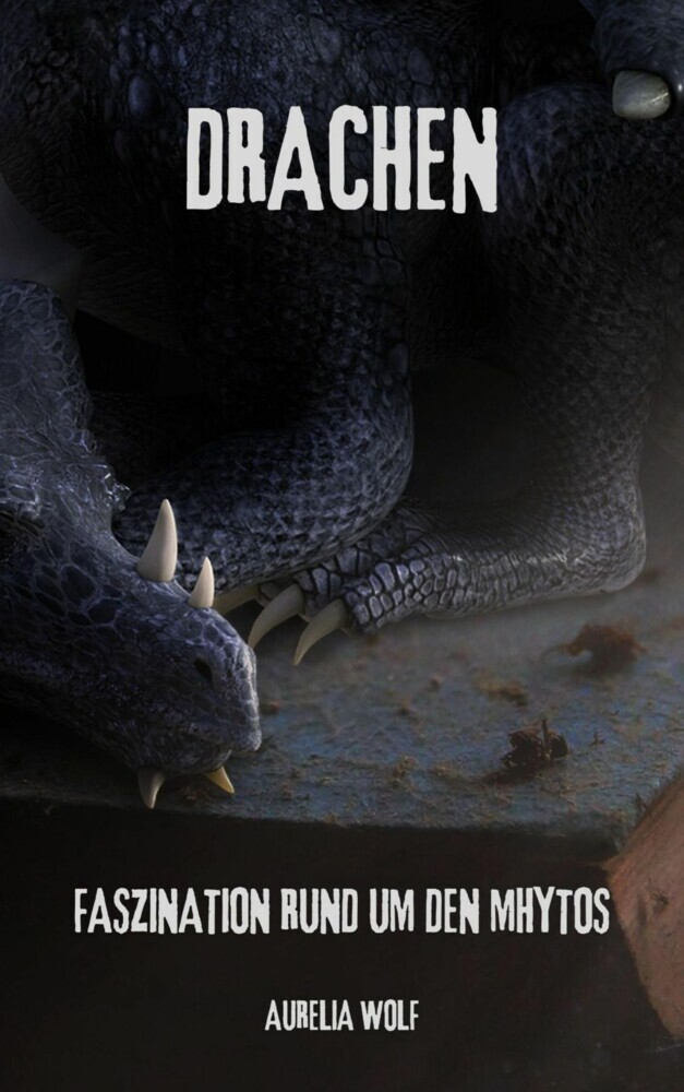 Drachen main product photo