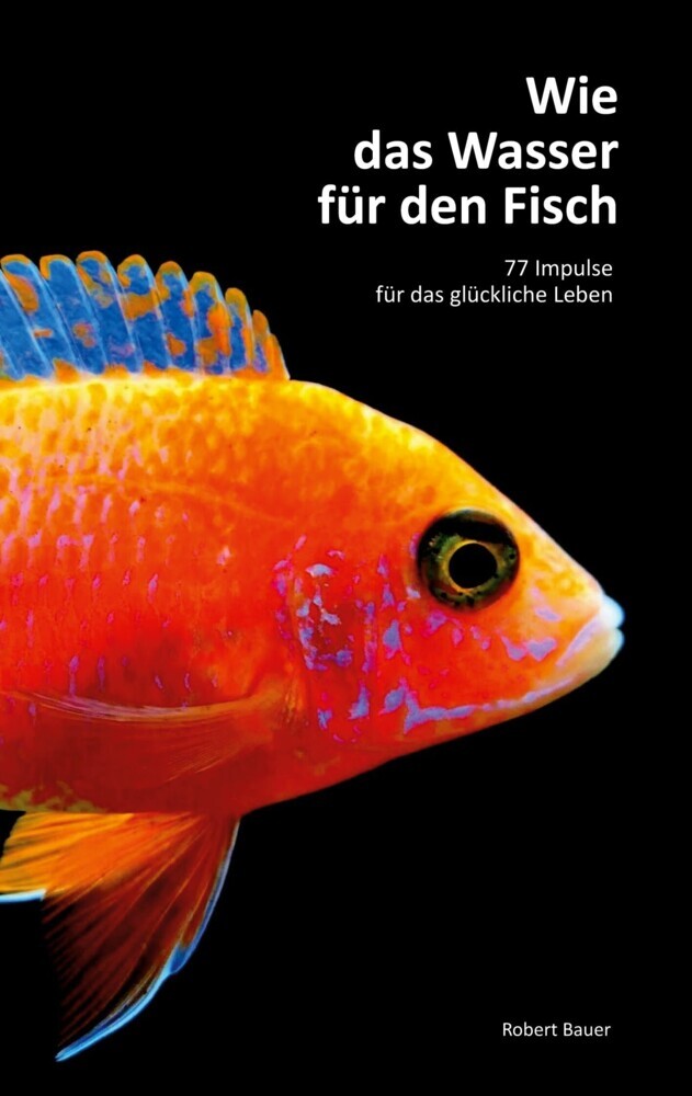 Wie das Wasser für den Fisch main product photo