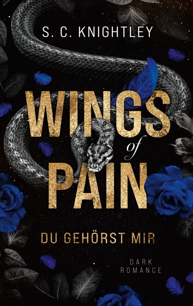 Wings of Pain main product photo