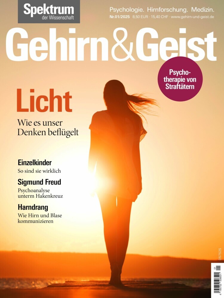 Gehirn&Geist 1/2025 Licht main product photo