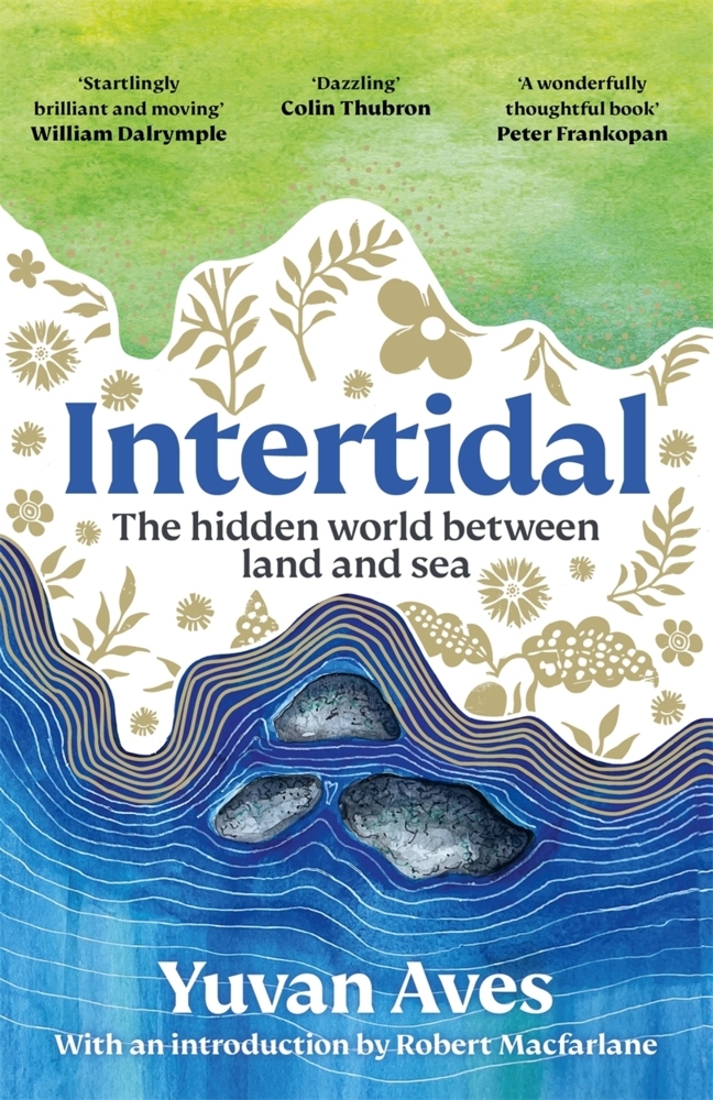 Intertidal main product photo