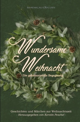 Wundersame Weihnacht - Die geheimnisvolle Begegnung: Geschicht...