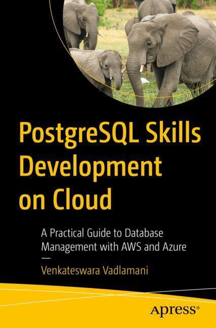 PostgreSQL Skills Development on Cloud main product photo