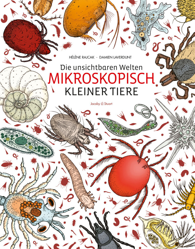 Die unsichtbaren Welten mikroskopisch kleiner Tiere main product photo
