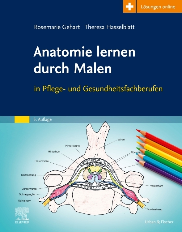 Anatomie lernen durch Malen main product photo