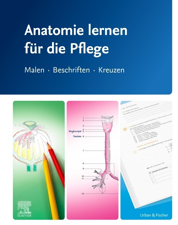 Anatomie lernen für die Pflege main product photo