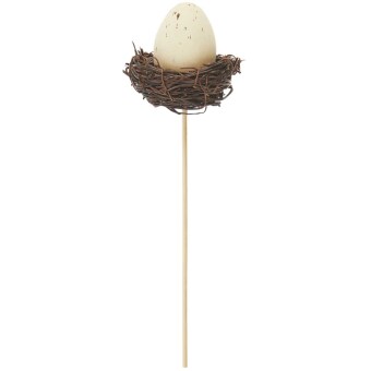 Picker Ei im Nest, Natur