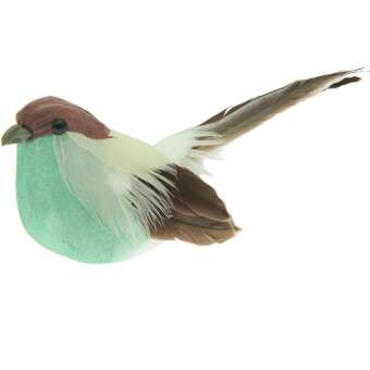 Vogel, Türkis