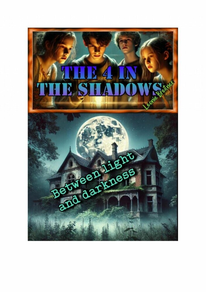 The 4 in the shadows: Between light and darkness main product photo
