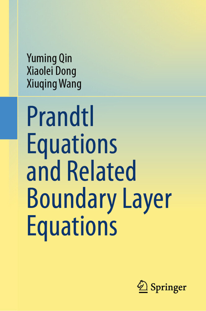 Prandtl Equations and Related Boundary Layer Equations main product photo