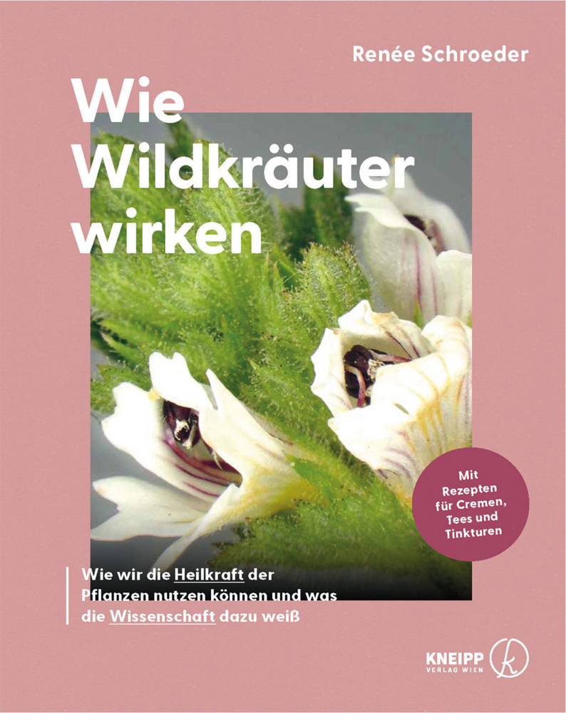 Wie Wildkräuter wirken main product photo