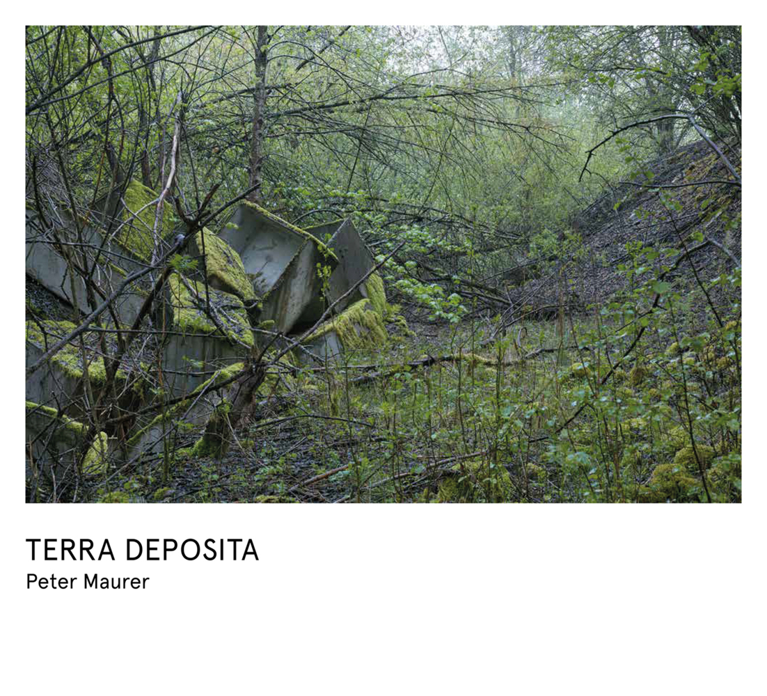 Peter Maurer - Terra Deposita main product photo