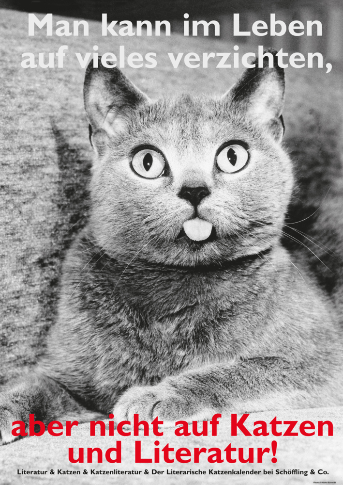 Postkarten Katzen und Literatur main product photo