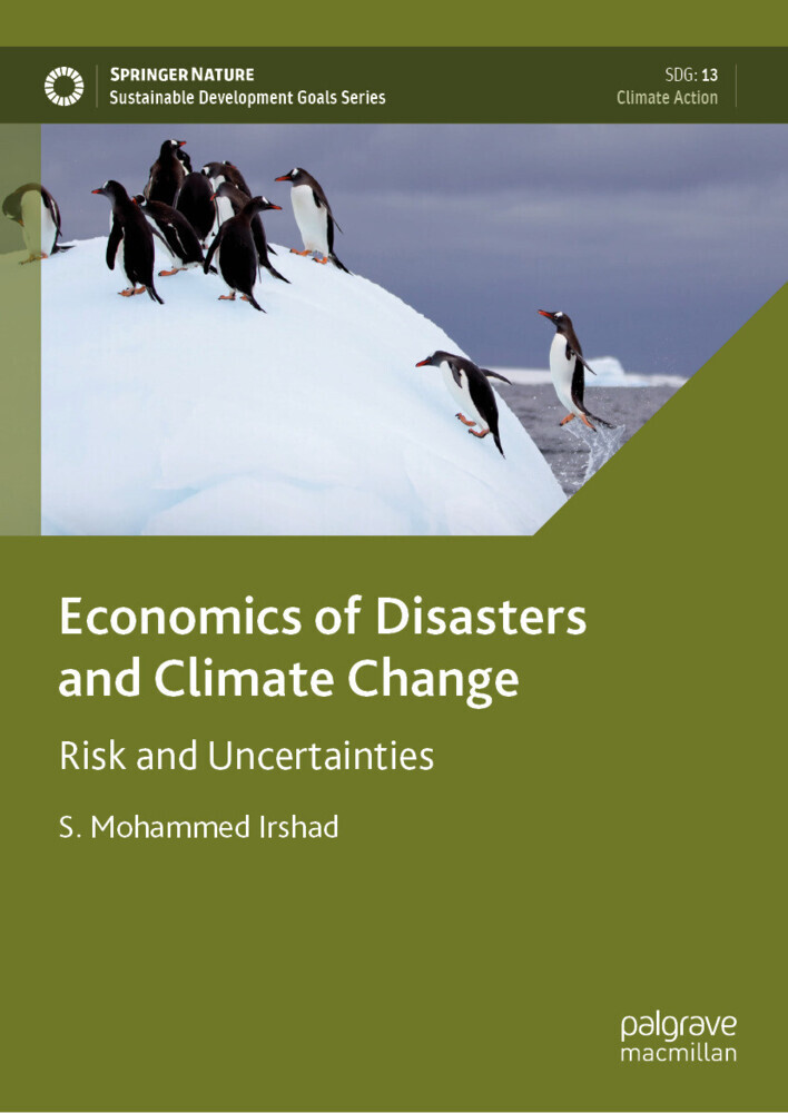 Economics of Disasters and Climate Change main product photo