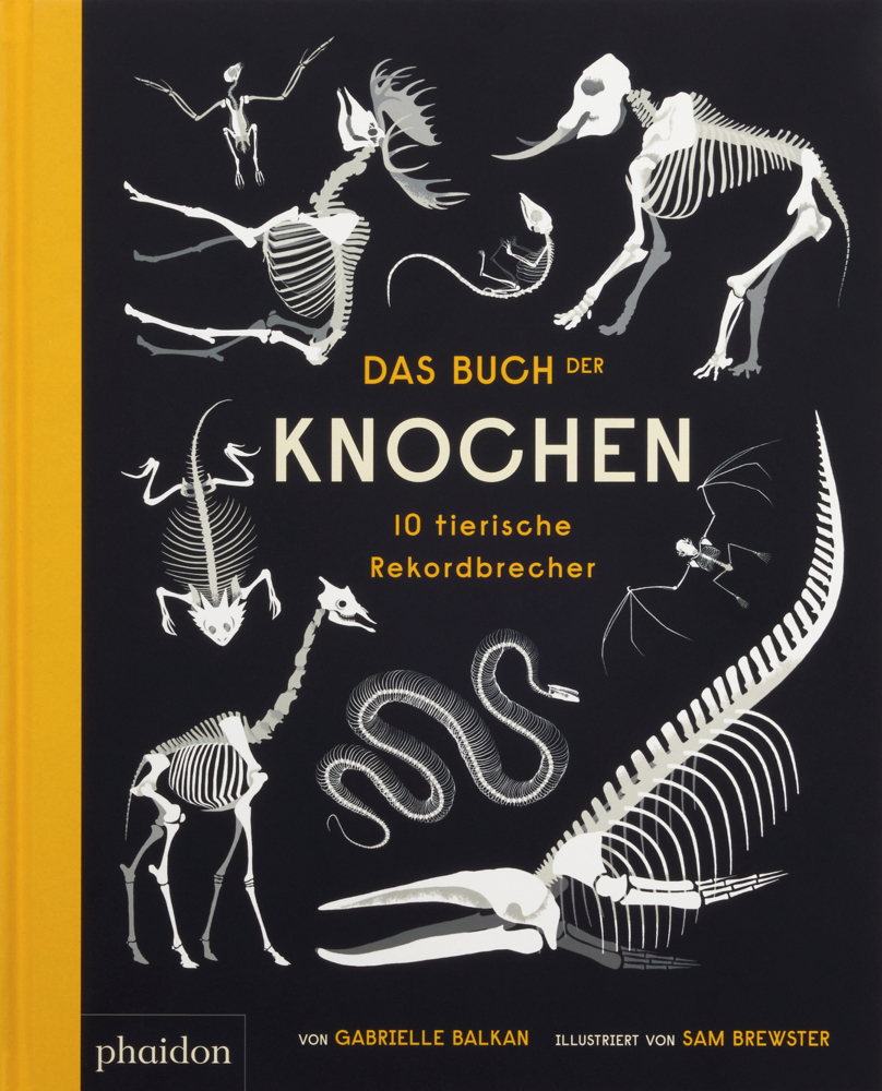 Das Buch der Knochen main product photo