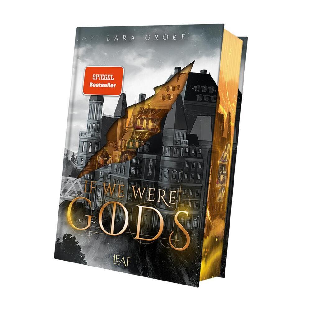 If We Were Gods main product photo