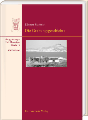 Die Grabungsgeschichte und ihre Hintergründe