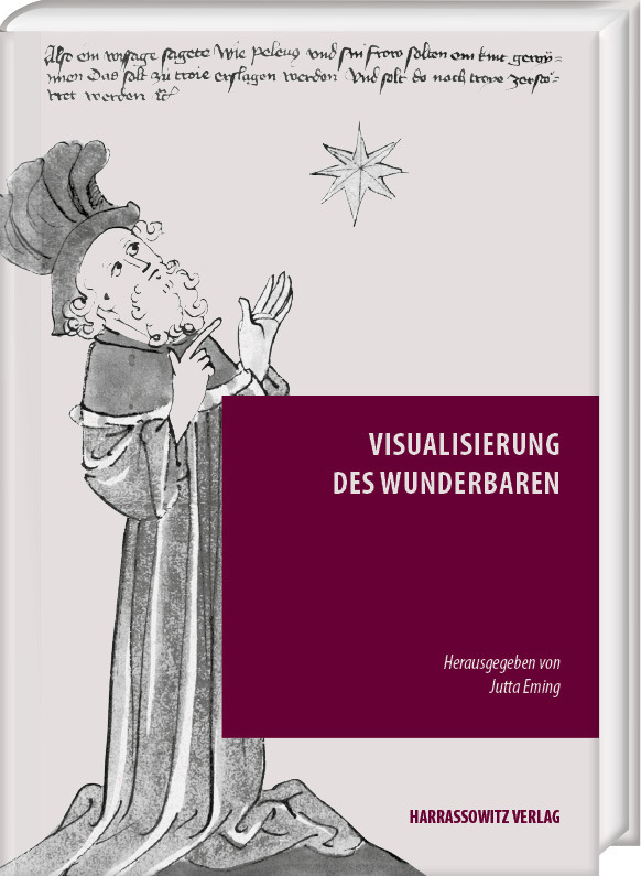 Visualisierung des Wunderbaren main product photo