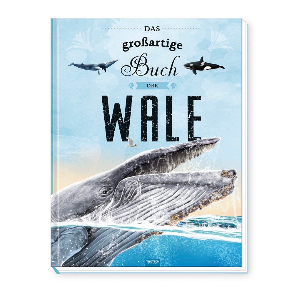 Trötsch Kinderbuch Das großartige Buch der Wale main product photo