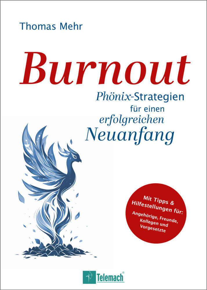 Burnout main product photo