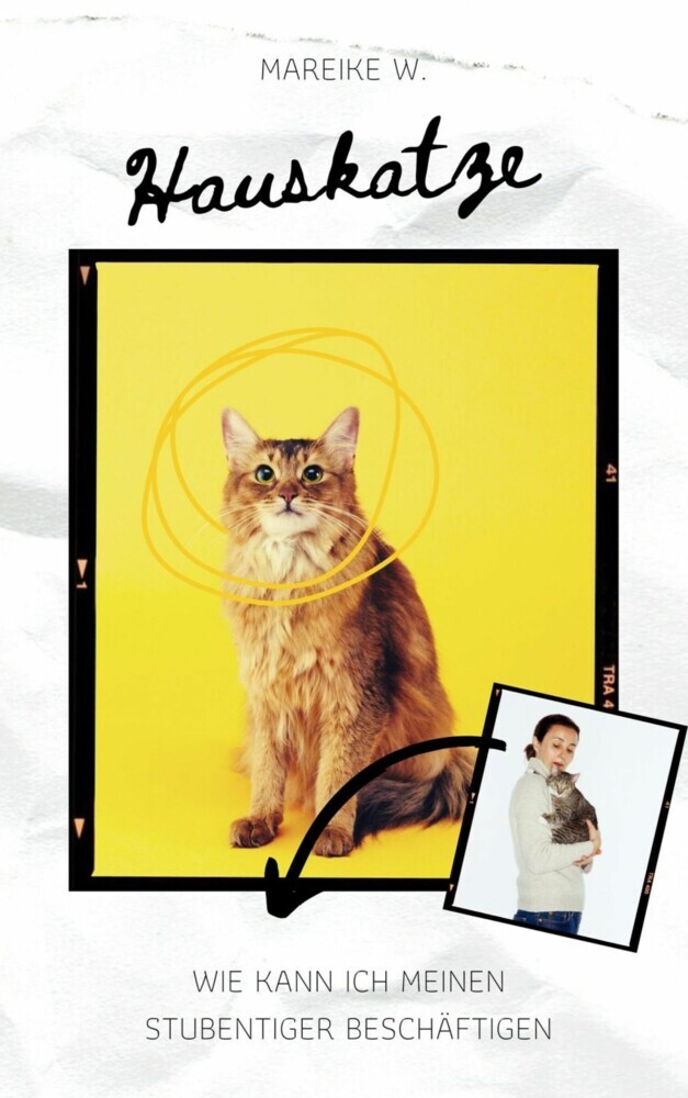 Hauskatze main product photo