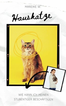 Hauskatze