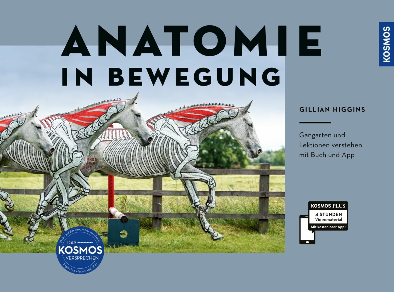 Anatomie in Bewegung main product photo