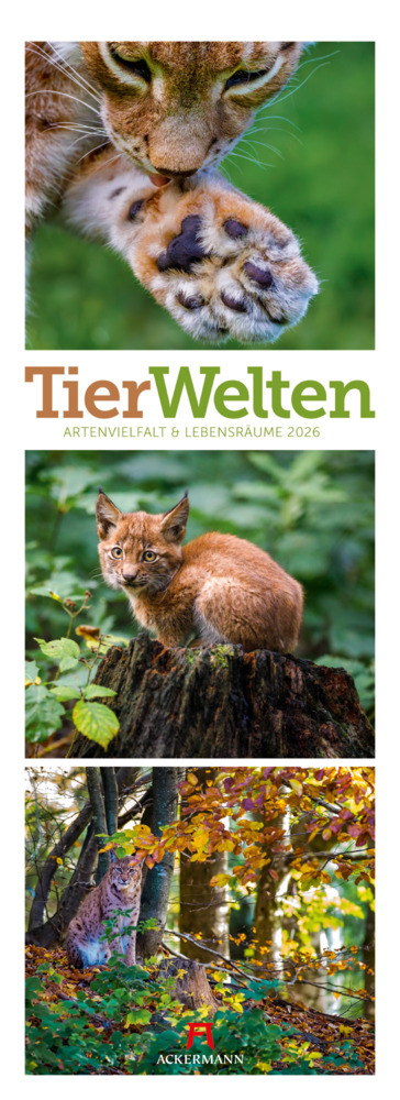 Tierwelten Triplet-Kalender 2026 | Artenvielfalt & Lebensräume main product photo