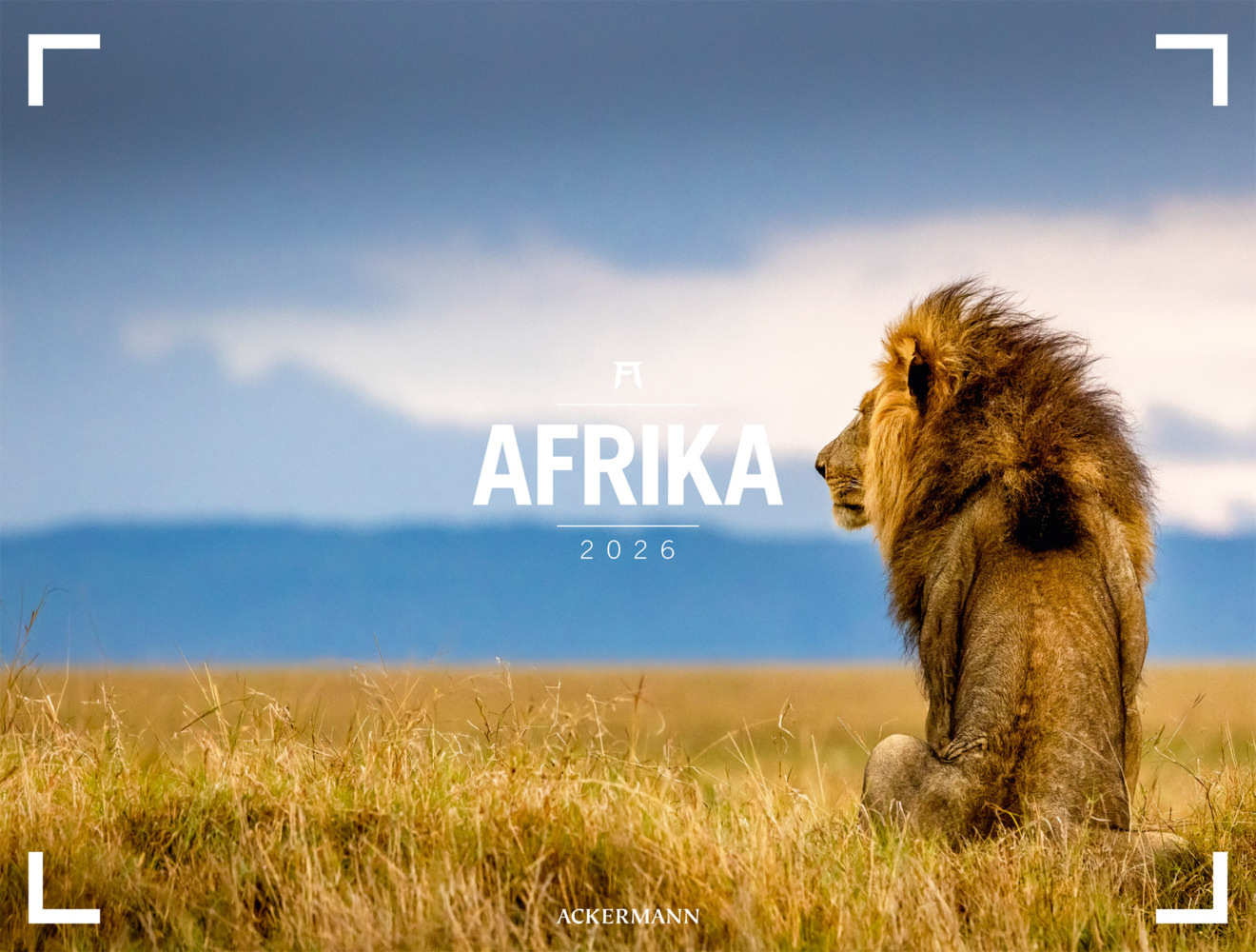 Afrika Gallery Kalender 2026 main product photo