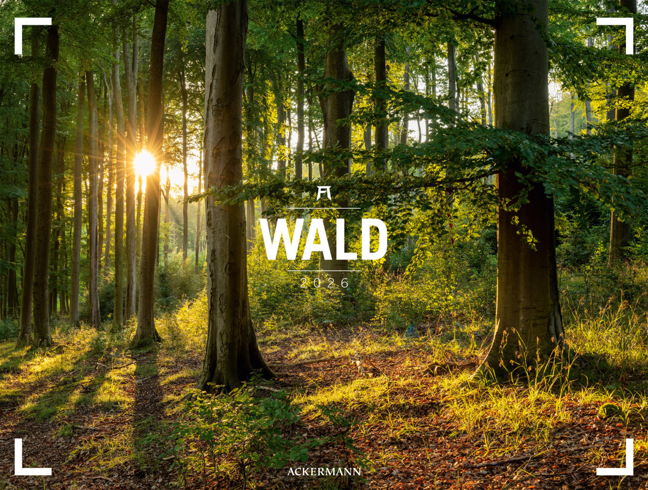 Wald Gallery Kalender 2026 main product photo