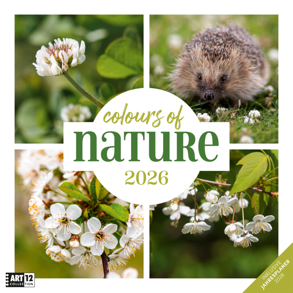 Colours of Nature Broschürenkalender 2026 - 30x30 - Art12 main product photo
