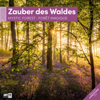 Zauber des Waldes Broschürenkalender 2026 - 30x30 - Art12
