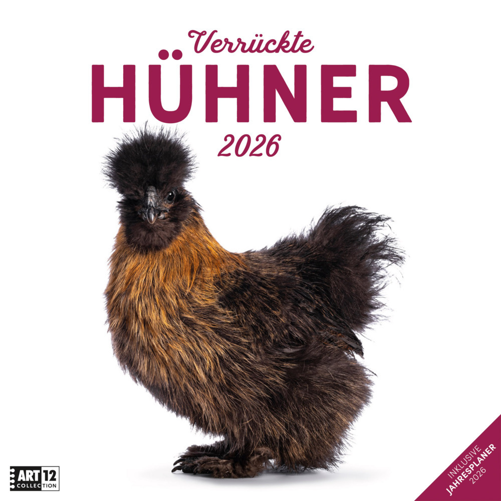 Verrückte Hühner Broschürenkalender 2026 - 30x30 - Art12 main product photo
