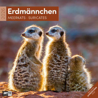 Erdmännchen Broschürenkalender 2026 - 30x30 - Art12
