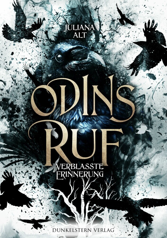 Odins Ruf - Verblasste Erinnerung main product photo