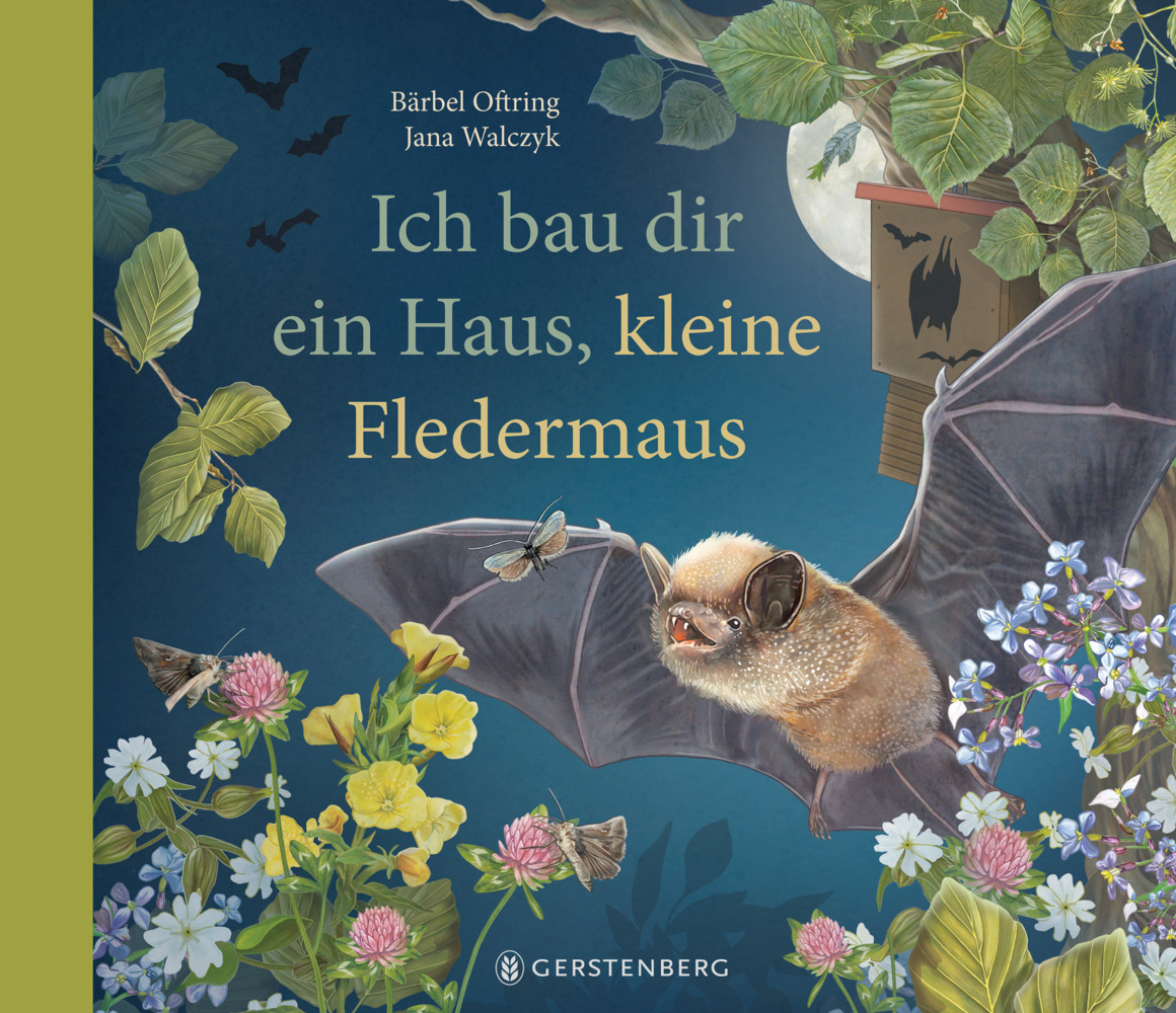 Ich bau dir ein Haus, kleine Fledermaus main product photo