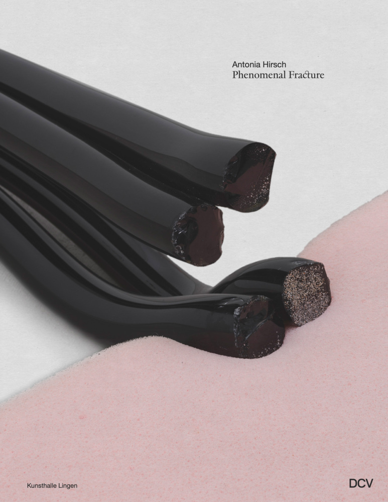 Antonia Hirsch - Phenomenal Fracture main product photo