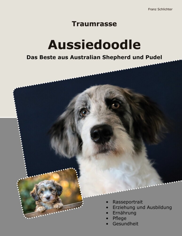 Traumrasse Aussiedoodle main product photo