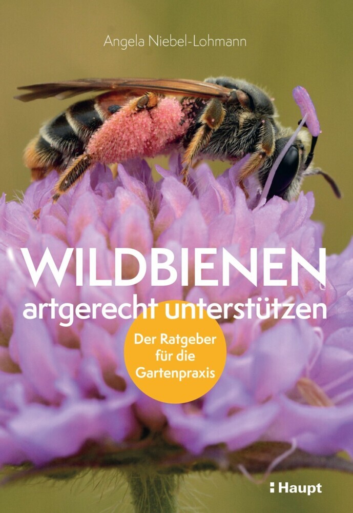 Wildbienen artgerecht unterstützen main product photo