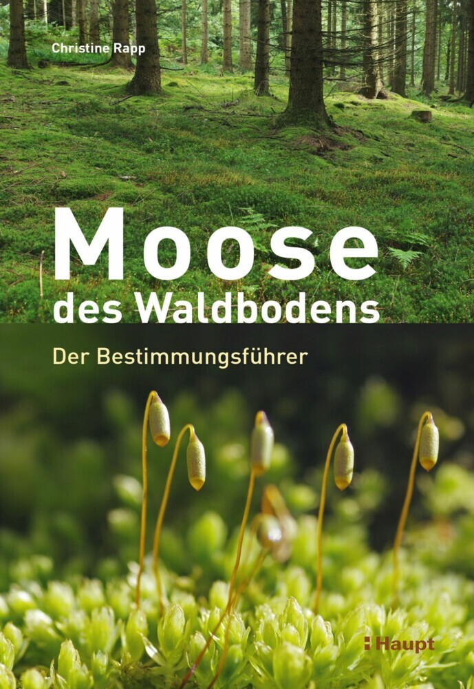Moose des Waldbodens main product photo
