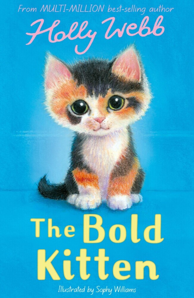 The Bold Kitten main product photo